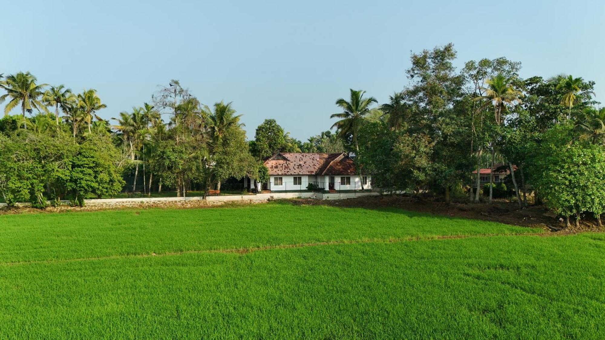 Paadam By The Backwaters クマラコム エクステリア 写真